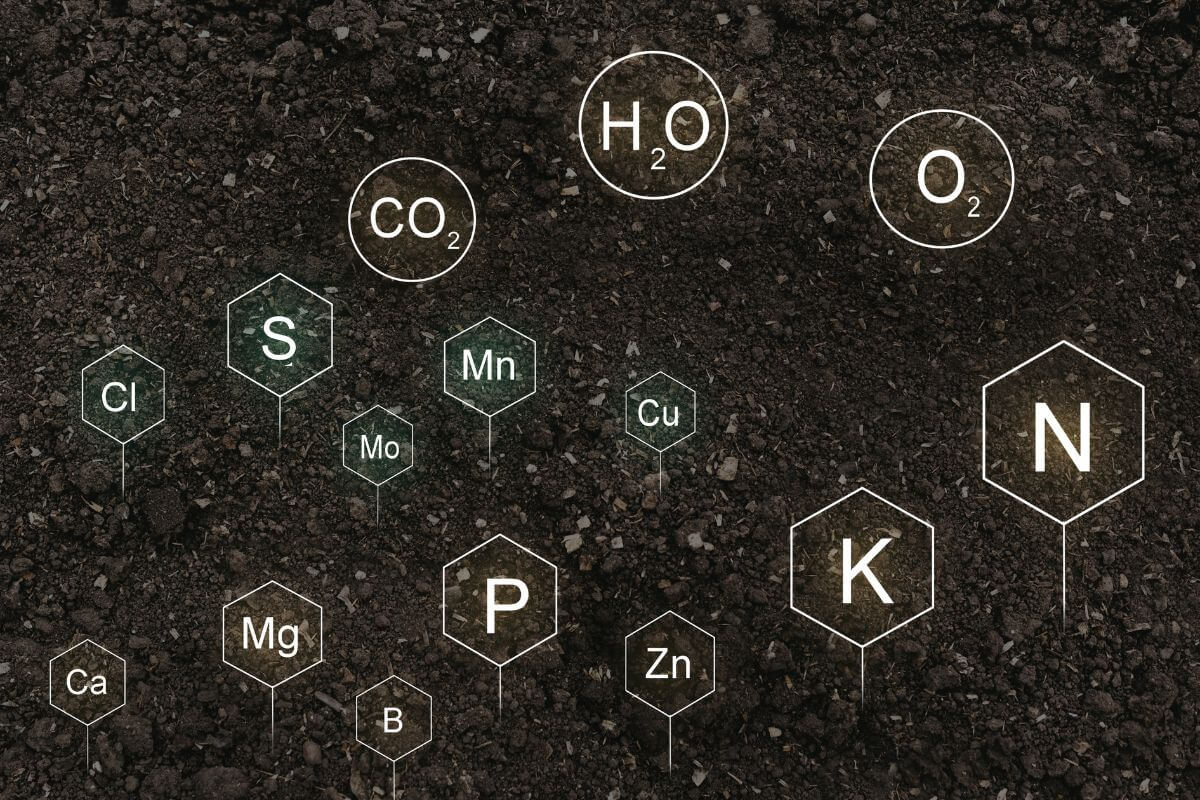 Constant nutrient supply for plant growth