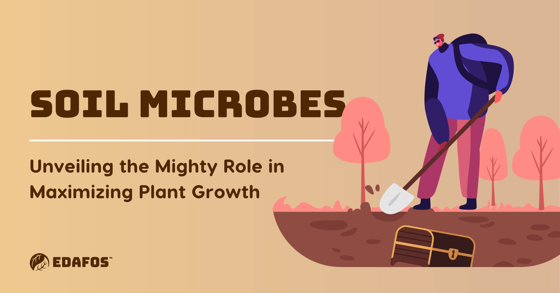 Soil Microbes: Unveiling the Mighty Role in Maximizing Plant Growth