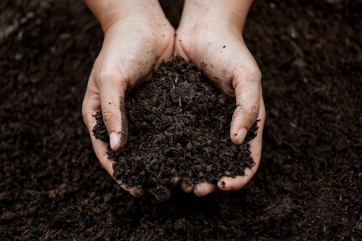 A single gram of soil holds more microbes than there are people on Earth