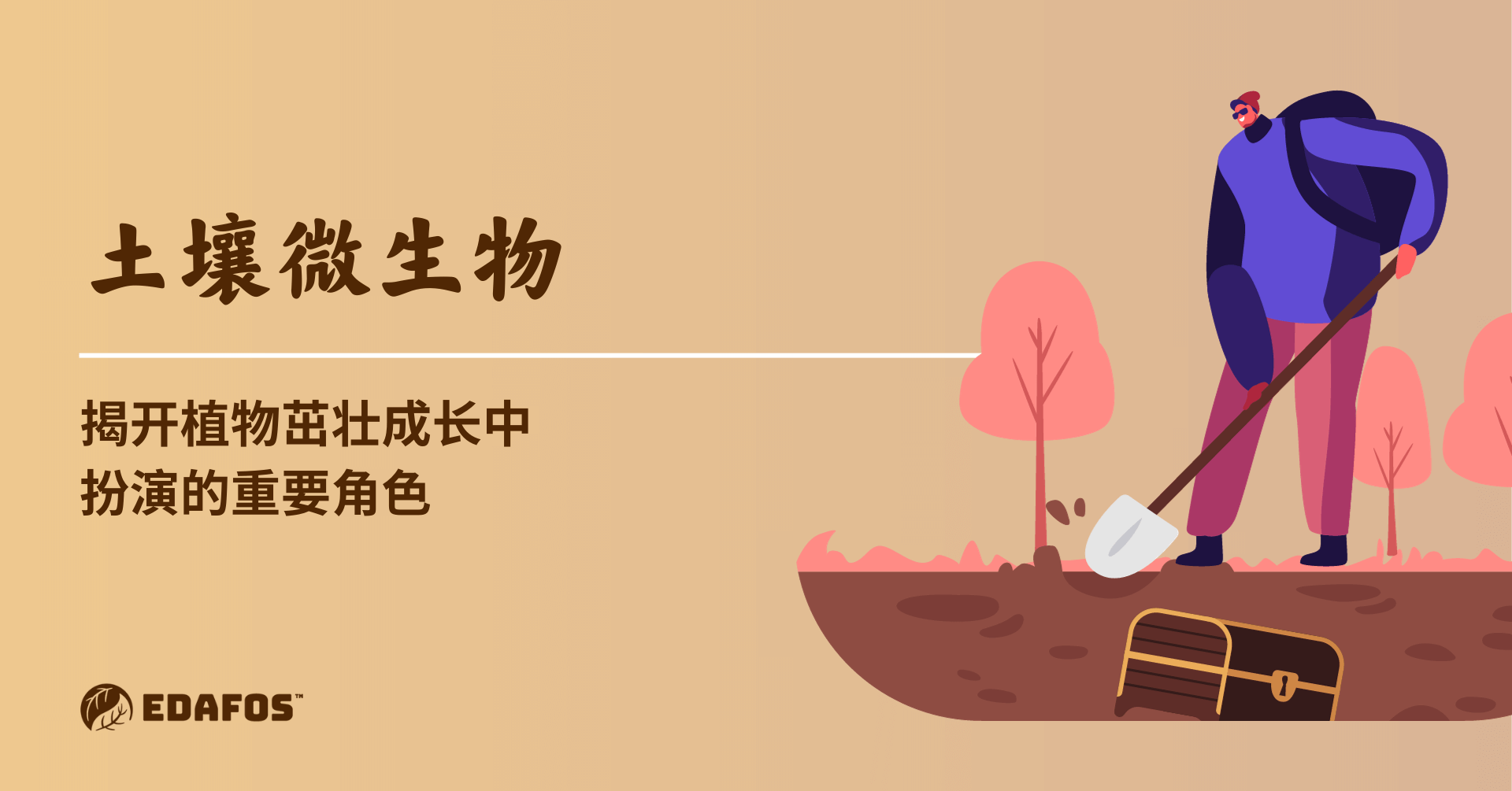 土壤微生物:揭开植物茁壮成长中扮演的重要角色 土壤微生物:揭开植物茁壮成长中扮演的重要角色