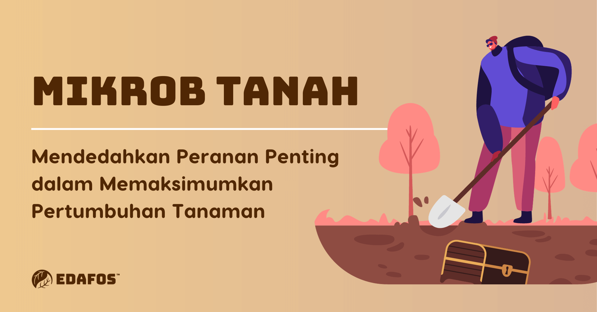 Mikrob Tanah: Mendedahkan Peranan Penting dalam Memaksimumkan Pertumbuhan Tanaman Mikrob Tanah: Mendedahkan Peranan Penting dalam Memaksimumkan Pertumbuhan Tanaman