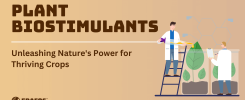 Plant Biostimulants: Unleashing Nature's Power for Thriving Crops