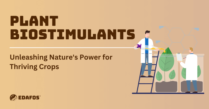 Plant Biostimulants: Unleashing Nature's Power for Thriving Crops 1 Plant Biostimulants: Unleashing Nature's Power for Thriving Crops