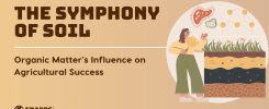 The Symphony of Soil: Organic Matter's Influence on Agricultural Success