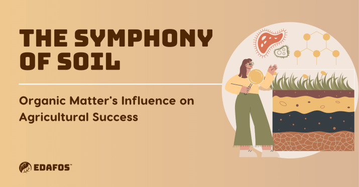 The Symphony of Soil: Organic Matter's Influence on Agricultural Success 1 The Symphony of Soil: Organic Matter's Influence on Agricultural Success