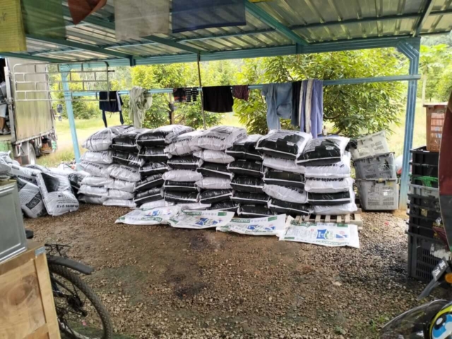 Tangkak – ES Morgan Durian Orchard – EDAFOS Pure BSF Frass Bio-Organic Fertilizer (2) Tangkak - ES Morgan Durian Orchard - EDAFOS Pure BSF Frass Bio-Organic Fertilizer (2)